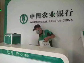 武汉好的叶子高效光触媒推荐 新车上门检测