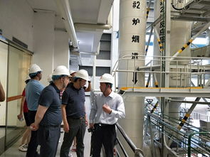 高新区赴深调研深能环保垃圾处理