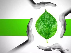 必看 实现砖厂企业达标排放 金瑞特环保科技