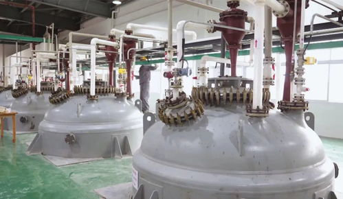 枝江环保科技 打造一流营商环境，铸就绿色发展品牌