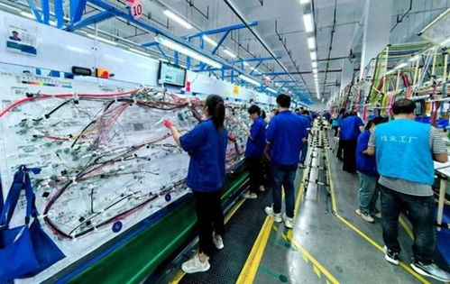 商洛高新区弗迪科技线束工厂四期投产 环保科技赋能汽车产业高质量发展